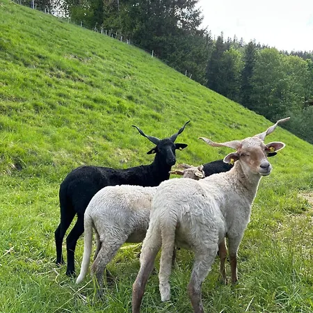 Apartament Linsingerhof Steinbock Achenwald